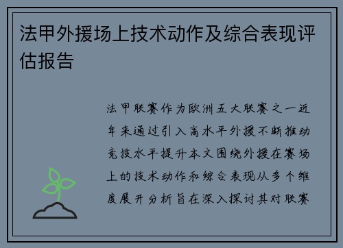 法甲外援场上技术动作及综合表现评估报告
